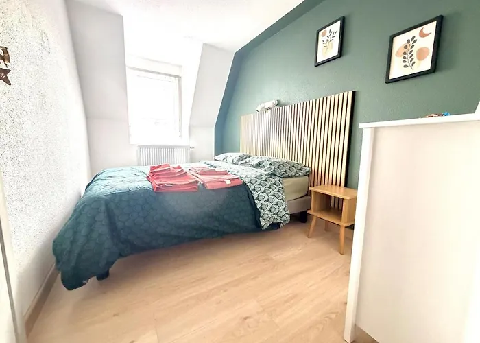 Cozy Center Appartamento Mulhouse